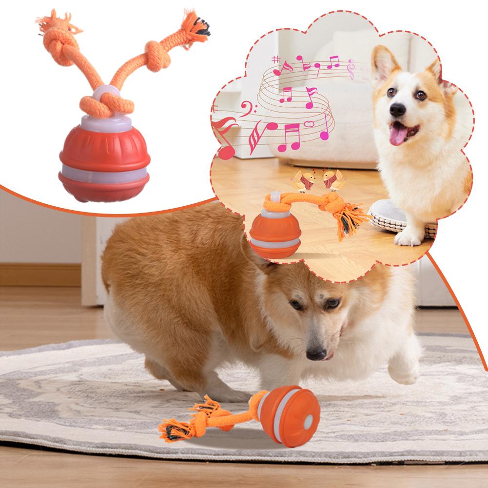 Bola de perro recargable intel - Automatic Moving Dog Ball reseña y precio