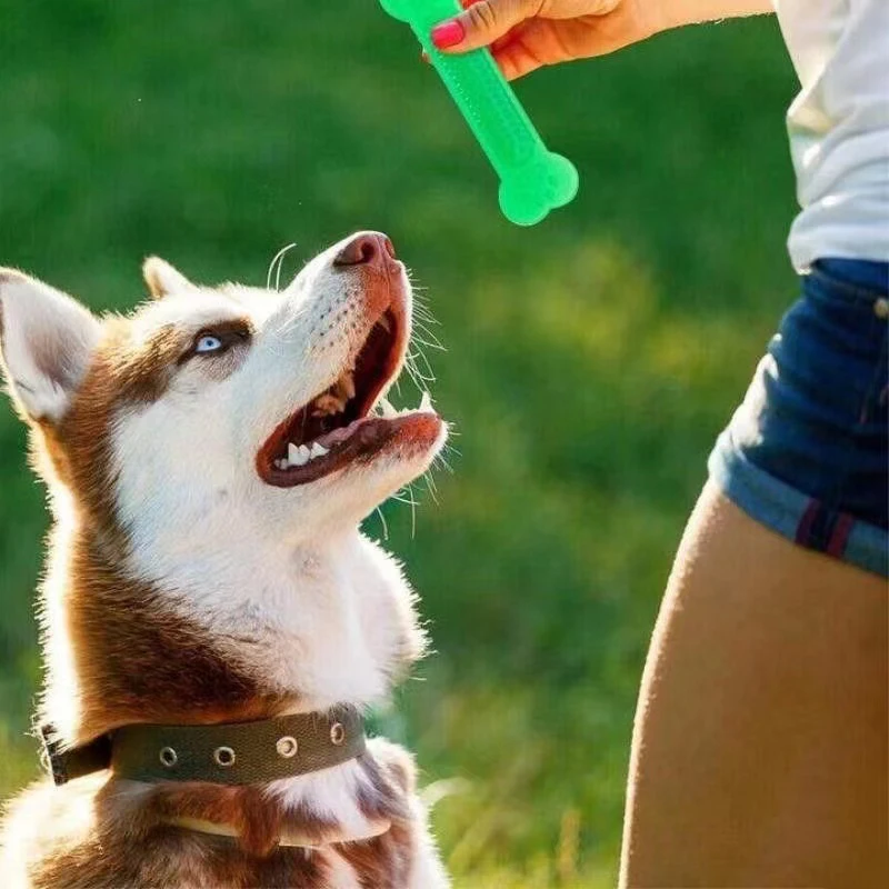 Juguete para masticar hueso de - Teeth Cleaning Dog Chew Bone reseña y precio