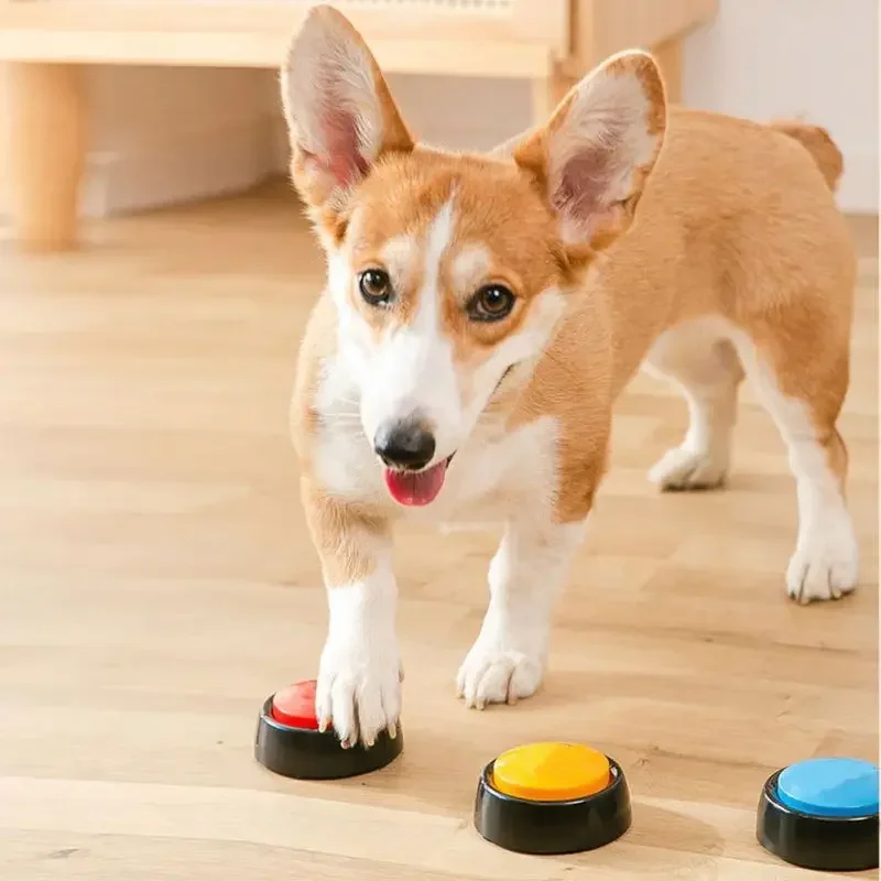 Caja de sonido para mascotas,  - Interactive Squeaky Plush Dog Toy reseña y precio