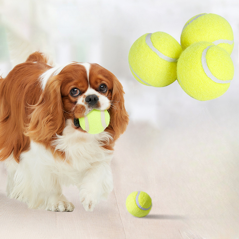 Juguete Interactivo para Perro - Interactive Squeaky Plush Dog Toy reseña y precio