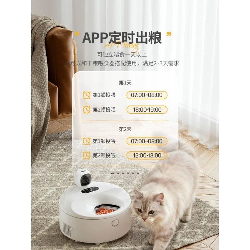 Comedero Inteligente para Gato - Pet Feeders reseña y precio